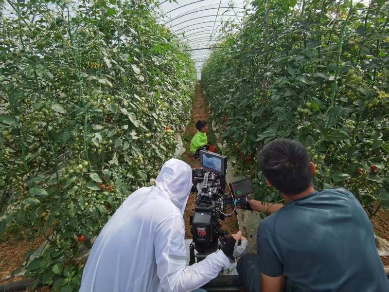 建昌县产品宣传视频拍摄公司进阶指南，助力品牌抢占传播高地